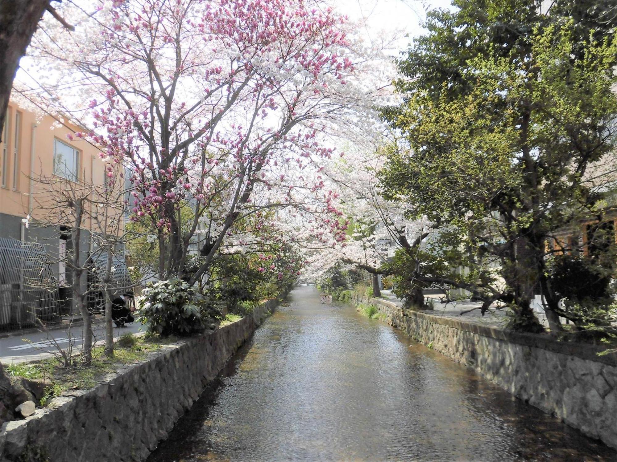 Hotel Il Verde Kyoto Eksteriør billede